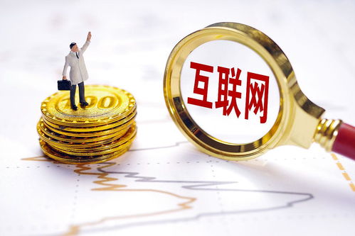 软件定制开发 新一代软件技术的标志性技术服务