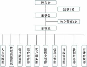 保险代理公司的组织结构与技术服务体系